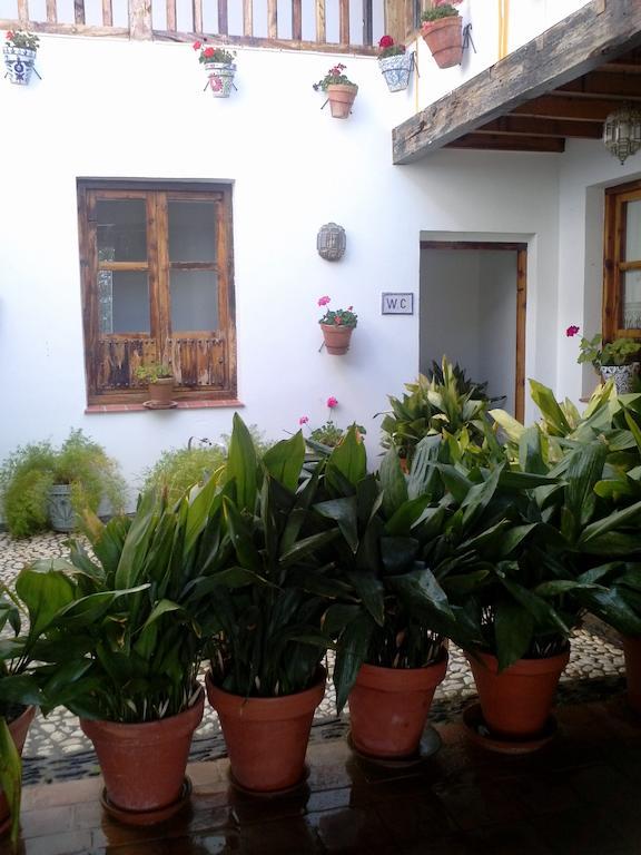 Cuevas Pedro Antonio De Alarcon Lägenhet Guadix Exteriör bild